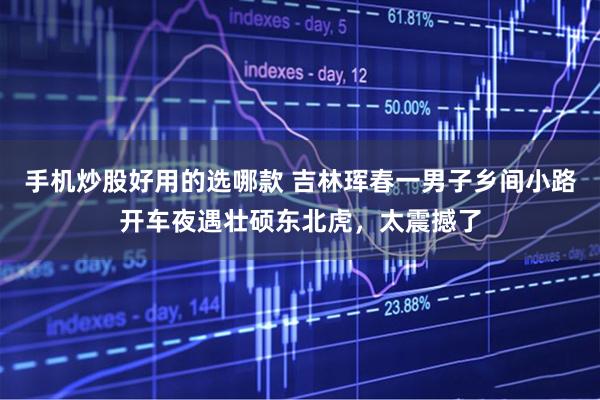 手机炒股好用的选哪款 吉林珲春一男子乡间小路开车夜遇壮硕东北虎，太震撼了